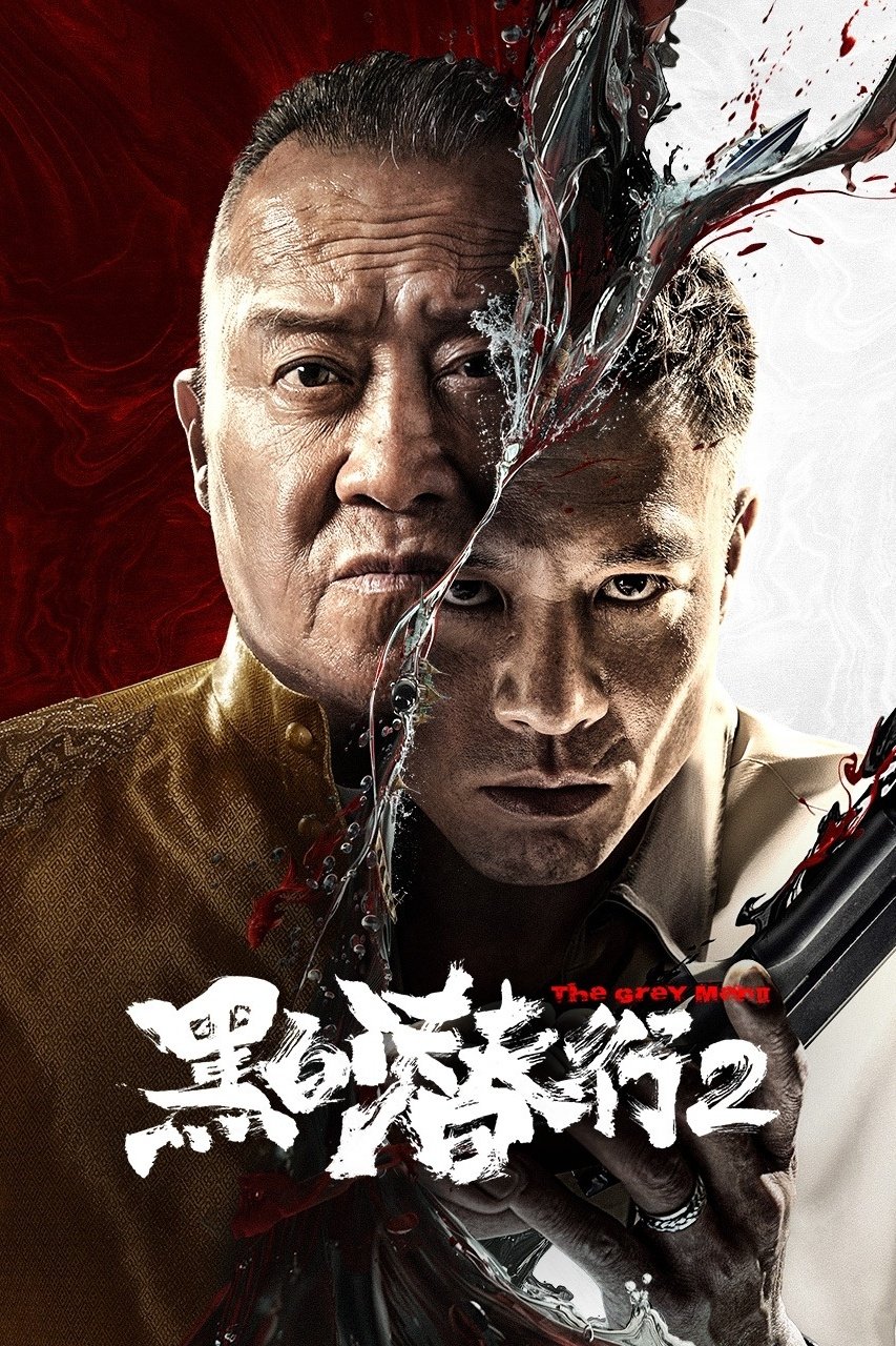 Đặc Vụ Vô Hình 2 – The Grey Men 2